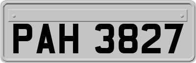 PAH3827