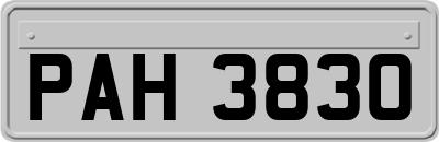 PAH3830