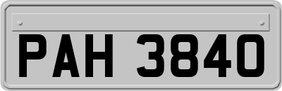 PAH3840
