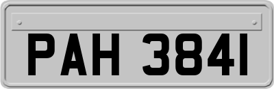 PAH3841