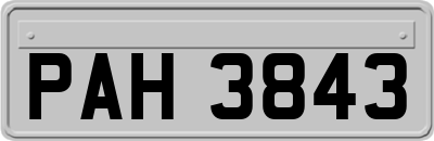 PAH3843
