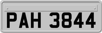 PAH3844