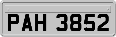 PAH3852