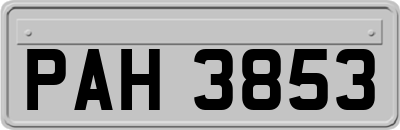 PAH3853