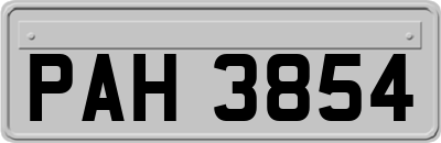 PAH3854