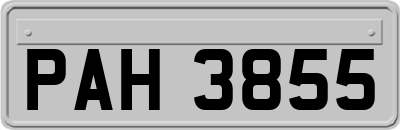 PAH3855