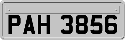 PAH3856