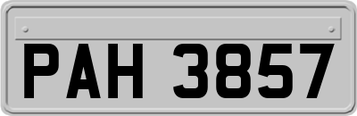 PAH3857