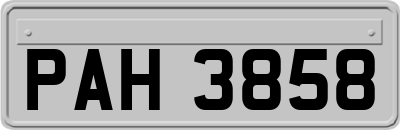 PAH3858
