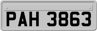 PAH3863