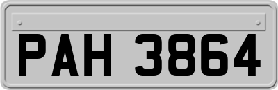 PAH3864