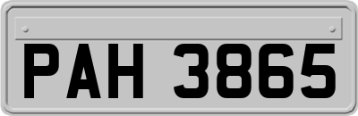 PAH3865