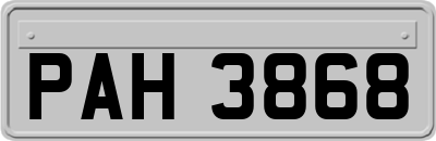 PAH3868
