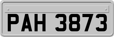 PAH3873