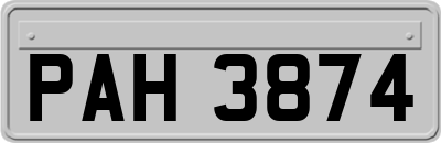 PAH3874