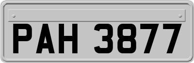 PAH3877