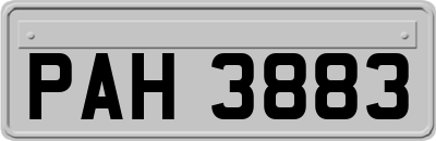 PAH3883
