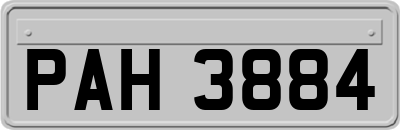 PAH3884