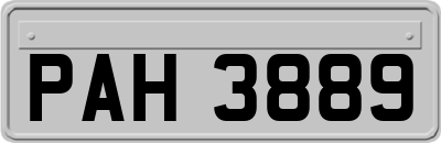 PAH3889