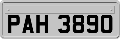 PAH3890