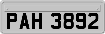 PAH3892