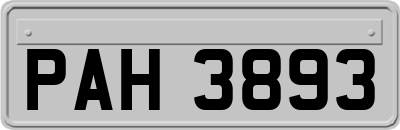 PAH3893