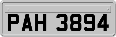 PAH3894