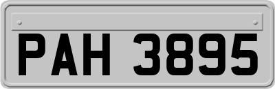 PAH3895