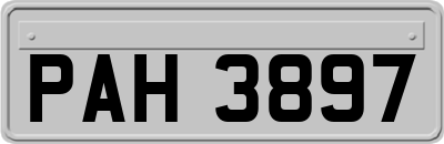 PAH3897