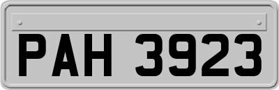 PAH3923