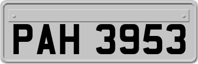 PAH3953