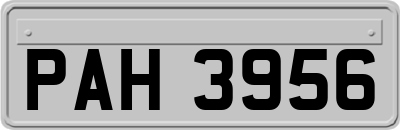 PAH3956