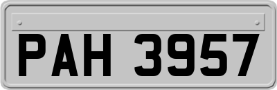 PAH3957