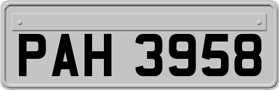 PAH3958