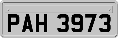 PAH3973