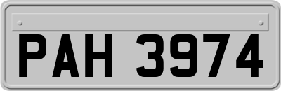 PAH3974