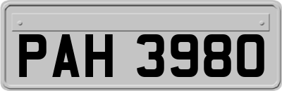 PAH3980