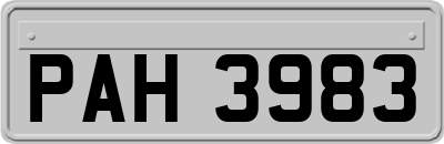 PAH3983