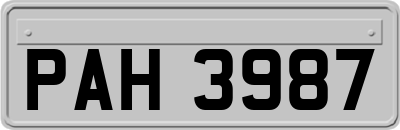 PAH3987