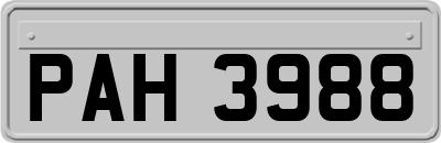 PAH3988