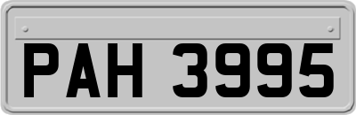 PAH3995