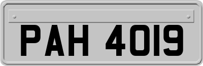 PAH4019