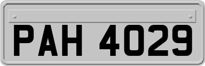 PAH4029