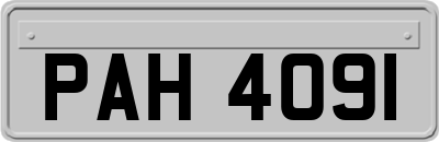 PAH4091