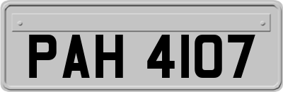 PAH4107