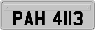 PAH4113