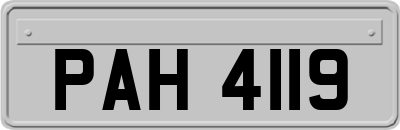 PAH4119