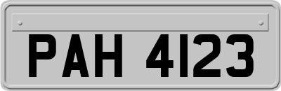 PAH4123