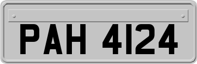 PAH4124