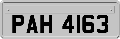 PAH4163